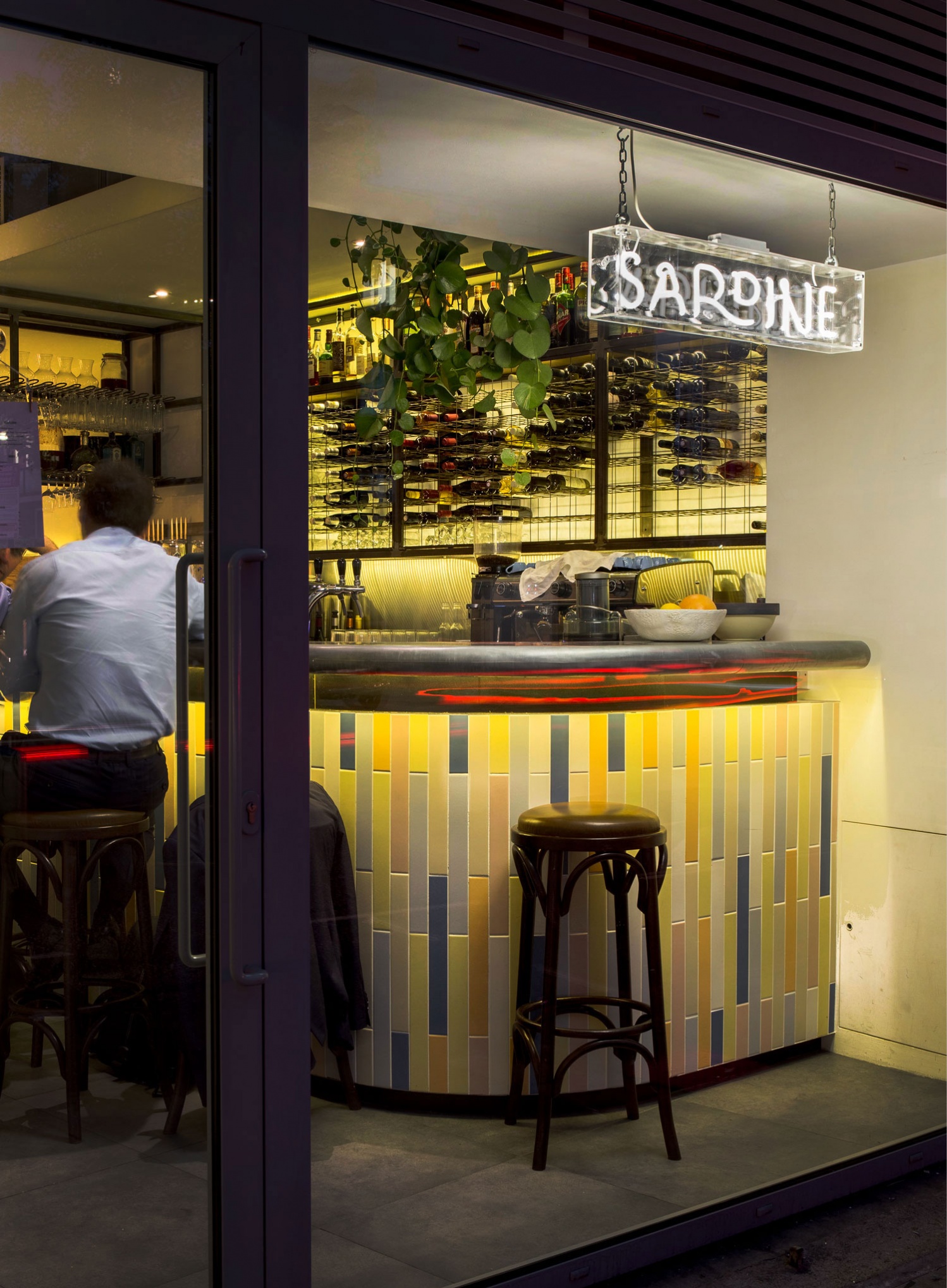Sardine 