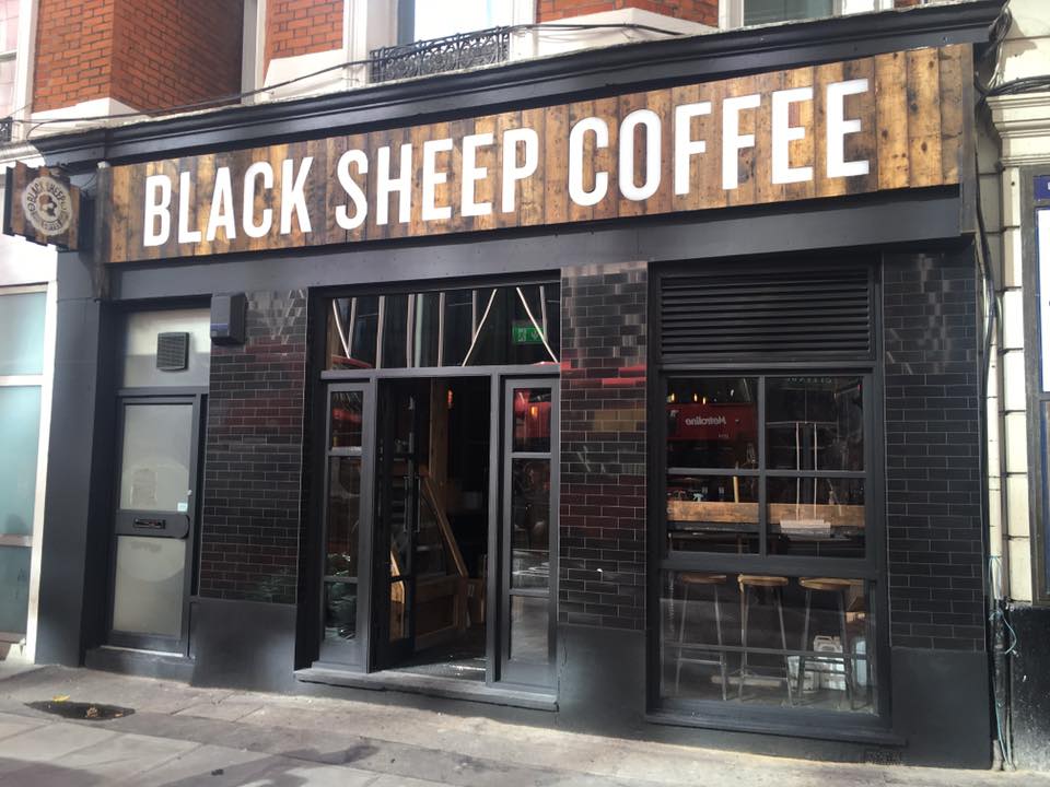 Blacksheep Victoria 
